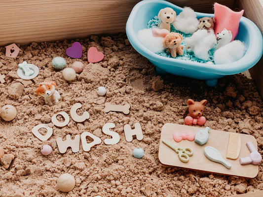 Dog wash sensory kit