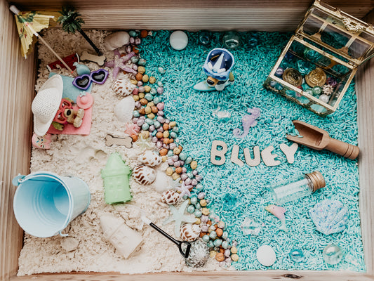 Bluey at the beach sensory bin kit-